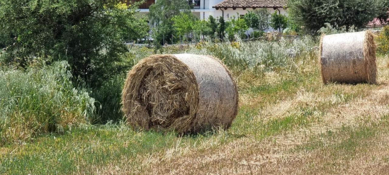 Masseria Milu' Siponto Zewnętrze zdjęcie