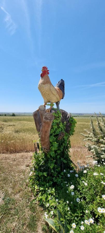 Masseria Milu' Siponto Zewnętrze zdjęcie